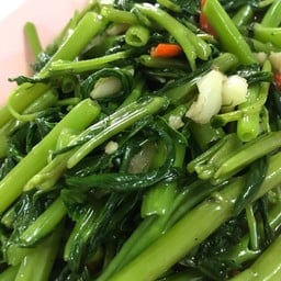 ผักบุ้งไฟแดง 90