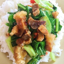 ข้าวราดหมูผัดคะน้าน้ำมันหอย(ใส่พริก)