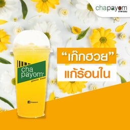 เก๊กฮวย