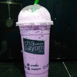 เผือกนมสด