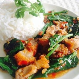 ผัดคะน้าราดข้าว