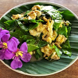 Khao Sok Mountain View 96