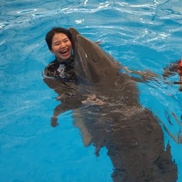 Pattaya Dolphinarium