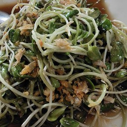 ต้นอ่อนดอกทานตะวันผัดน้ำมันหอย