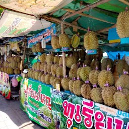 ทุเรียน ลาดกระบัง 2020