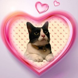 พริกกากหมู+กิมจิ