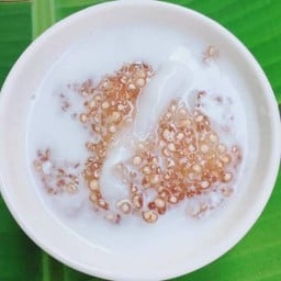 สาคูต้นมะพร้าวอ่อน