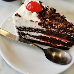 Jungle Cafe เกษตรศาสตร์
