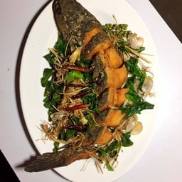 ปลาช่อน ทอดสมุนไพร