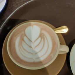 โกโก้ร้อน