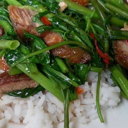 ผัดผักบุ้ง