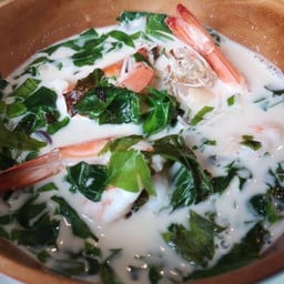 ต้มทะทิใบเหรียงกุ้งสด