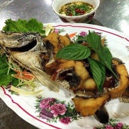 ปลากระพงสะอื้น