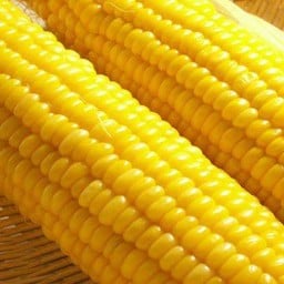 ข้าวโพด