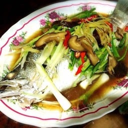 ปลากระพงนึ่งซีอิ๊ว