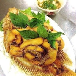 ปลาทับทิมสะอื้น