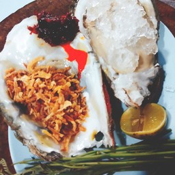 หอยนางรมสุราษฎร์ ไซด์ XL