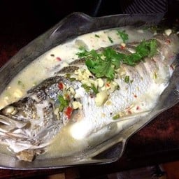 ปลากระพงนึ่งมะนาว