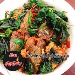 กระเพราไก่ไข่เยี่ยวม้าราดข้าว