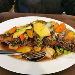 ปลากระพงสามรส (ตัว)