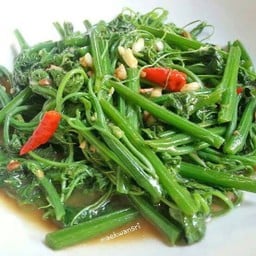 ฟักแม้วไฟแดง