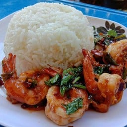 กระเพรากุ้ง ราดข้าว