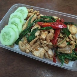 ผัดกระเพรา อกไก่