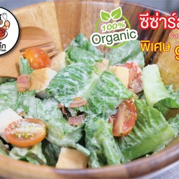 ซีซ่าร์สลัด