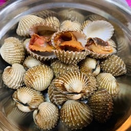 หอยแครงลวก