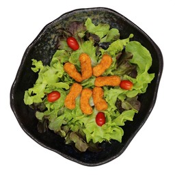 สลัดชิกเก้นสติ๊ก