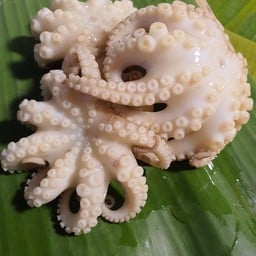 หมึกสายลวกจิ้ม(ชุดเล็ก)