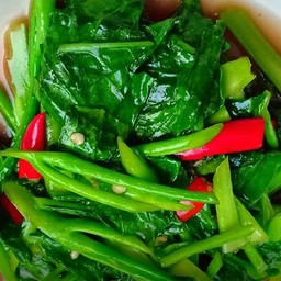 ผัดคะน้าน้ำมันหอย