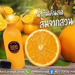 MENU_584783XG_1597475698