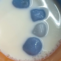 บัวลอยนมสด