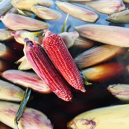 ข้าวโพดไรซ์เบอรี่