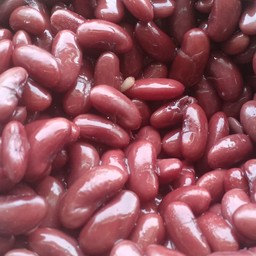 ถั่วแดง