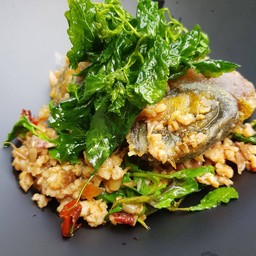 ข้าว ไข่เยี่ยวม้ากะเพรากรอบ