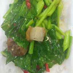 ผัดผักคะน้า