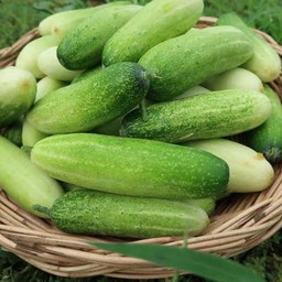 เพิ่มผักสดแตงกวา