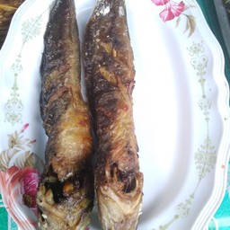 ปลาดุกย่าง