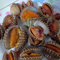 หอยแครงลวก