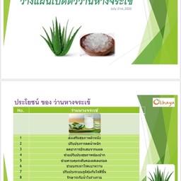 ว่านหางจระเข้ในน้ำองุ่น