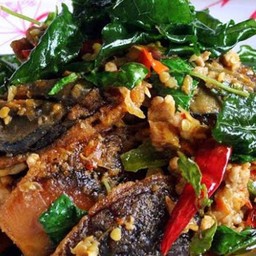 กระเพราหมูสับไข่เยี่ยวม้ากระเพรากรอบ (กับข้าว)
