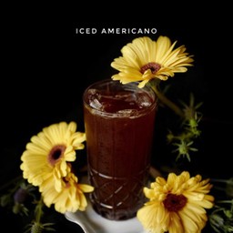 Americano Iced