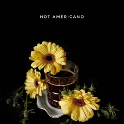 Americano Hot