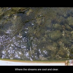 Water is Good and Clear