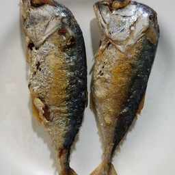 ปลาทูทอด