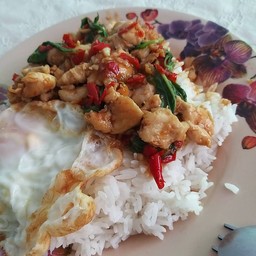 เจ้อ้อย ตามสั่ง ข้างผัดปู