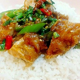 ข้าวกระเพราไก่กรอบ