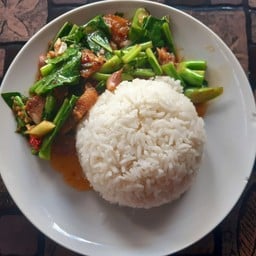 ข้าวคะน้าหมูกรอบ